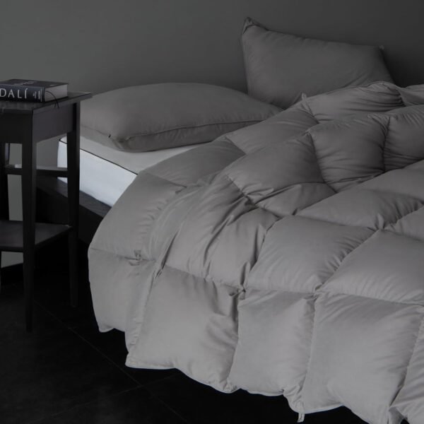 Luxury Gray Down Comforter Queen Size - Down and Feather Fiber Core for All Seasons - Soft and Medium Warmth Hotel Collection Duvet Insert - Fluffy and Cozy,Queen (90 X 90”)