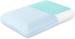 Cooling Gel Memory Foam Pillow - Reversible Cooling Cover, Neck Support for Side, Back and Stomach Sleepers, Removable & Machine Washable, All-Season Comfort, Standard Size, Blue