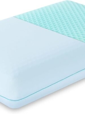 Cooling Gel Memory Foam Pillow - Reversible Cooling Cover, Neck Support for Side, Back and Stomach Sleepers, Removable & Machine Washable, All-Season Comfort, Standard Size, Blue