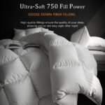 Luxury White Goose Down Comforter - Down and Feather Fiber Core for All Seasons - Duvet Insert Queen Hotel Collection - Soft and Medium Warmth Down Comforter,Queen (90 X 90”)