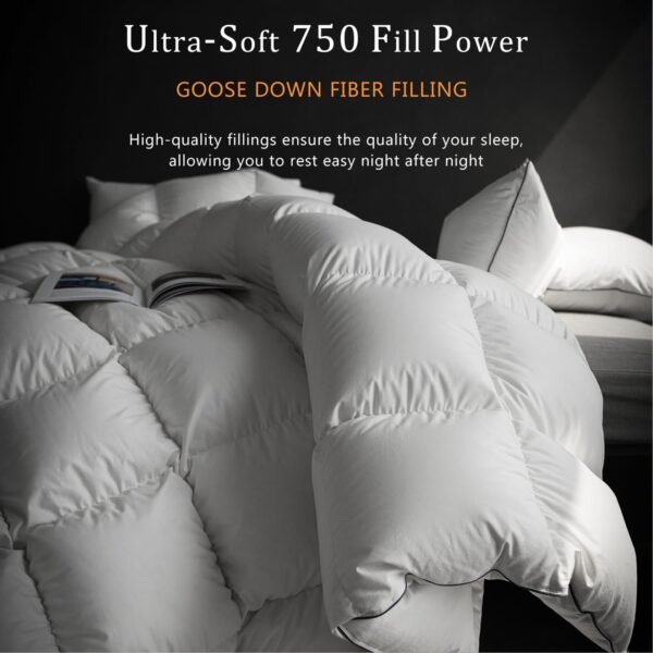 Luxury White Goose Down Comforter - Down and Feather Fiber Core for All Seasons - Duvet Insert Queen Hotel Collection - Soft and Medium Warmth Down Comforter,Queen (90 X 90”)