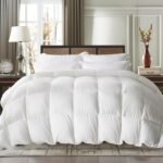 Goose Feather Comforter Full/Queen Size, All Season Duvet Insert Medium Warmth, Comforters with 100% Cotton Cover (90x90 Inch, White)