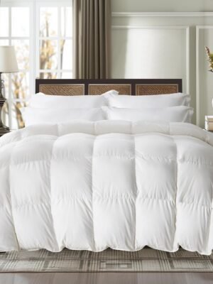 Goose Feather Comforter Full/Queen Size, All Season Duvet Insert Medium Warmth,  Comforters with 100% Cotton Cover (90x90 Inch, White)