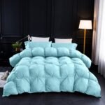 Pinch Pleat Goose Feathers Down Comforter Queen Size Duvet Insert,750+ Fill Power,1200TC 100% Cotton Fabric,Premium Aqua Sky Comforter for All Seasons with 8 Tabs